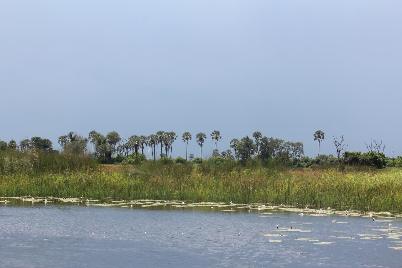 Cresta Maun Hotel المظهر الخارجي الصورة